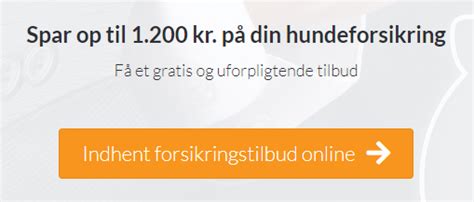 Hundeforsikring priser. 15 billigste forsikringer 2018